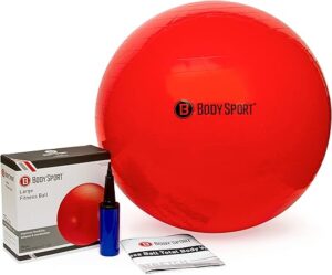 Body Sport Exercise Ball With Pump For Home