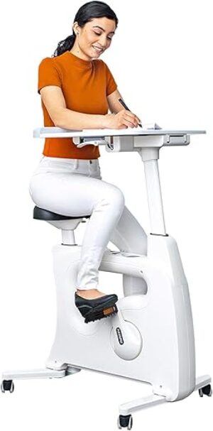 FLEXISPOT Exercise Bike With Pedal Exerciser