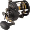 PENN Fathom II Level Wind Salzwasser-Multirolle