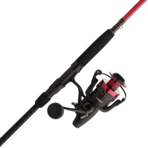 PENN Fierce IV Spinning Reel Combo