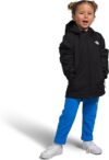 THE NORTH FACE Freedom Insulated Toddler Jacket