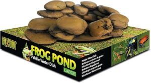Exo Terra Frog Pond Amphibian Terrarium Water Source