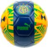 PUMA FTBLCore Fan Ball