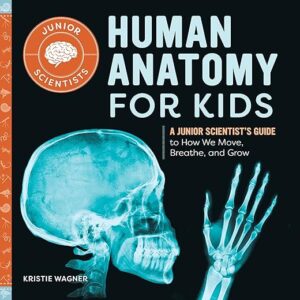 Human Anatomy For Kids: Junior Scientist’s Guide
