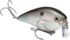 Strike King KVD 2.5 Wake Bait Fishing Lure HCKVD2.5W-568
