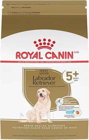 Royal Canin Labrador Retriever Adult 5+ Dry Food