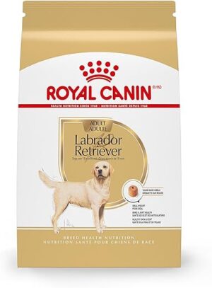 Royal Canin Labrador Retriever Adult Dry Dog Food