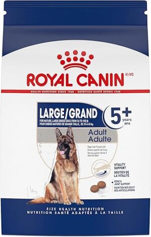 Royal Canin Large Adult 5+ Dry Dog Food, 30 lb