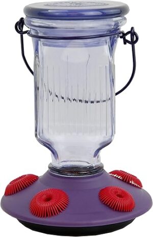 Perky-Pet Lavender Field Top-Fill Glass Hummingbird Feeder 9101-2