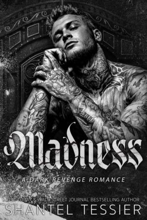 Madness: Dark Revenge Romance