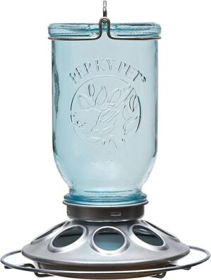 Perky-Pet Mason Jar Wild Bird Feeder