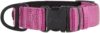 KONG Max HD Ultra Durable Dog Collar