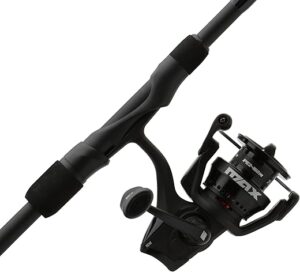 Abu Garcia Max SX Spinning Reel And Rod Combo