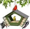 Kingsyard Metal Bird Feeder With Double Suet Cages