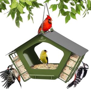 Kingsyard Metal Bird Feeder With Double Suet Cages