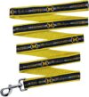 Pets First Michigan Wolverines Shiny Dog Leash