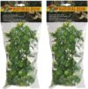 Zoo Med Natural Bush Plants, Large, Amazonian Phyllo