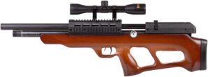 Beeman PCP Underlever Air Rifle
