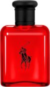Polo Red Men’s Cologne – Woody & Spicy
