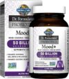 Garden of Life Probiotics Mood+ Supplement – Relaxation & Balance