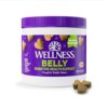 Wellness Pumpkin Flavored Digestive Supplements for Dogs