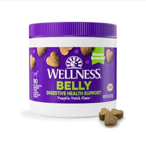 Wellness Pumpkin Flavored Digestive Supplements for Dogs
