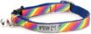 The Worthy Dog Rainbow Cat Collar: Durable & Stylish Adjustable