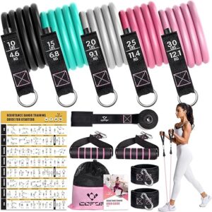 COFOF Resistance Bands With Handles, 5 Level