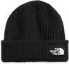 THE NORTH FACE Salty Dog Beanie (Little/Big Kids)