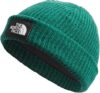 THE NORTH FACE Salty Dog Lined Beanie, Evergreen
