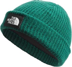 THE NORTH FACE Salty Dog Lined Beanie, Evergreen