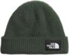 THE NORTH FACE Salty Dog Lined Beanie, Pine Needle