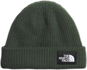 THE NORTH FACE Salty Dog Lined Beanie, Pine Needle