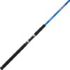 Shakespeare Shakespeare Fishing Rod