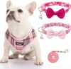 PUPTECK Soft Mesh Dog Harness Leash Set