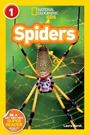 Spiders (Kids Readers, Level 1)