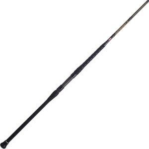 PENN Squadron III Surf Spinning Rod