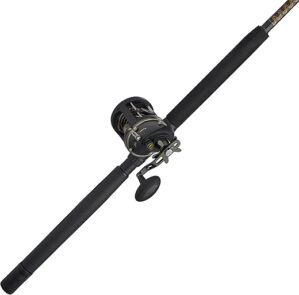 PENN Squall II Level Wind Reel Combo