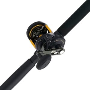PENN Squall II Lever Drag Combo