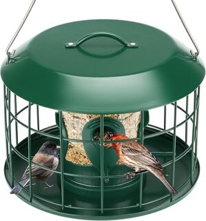 Kingsyard Squirrel Proof Outdoor Bird Feeder, Green