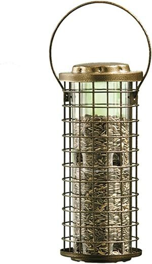 Perky-Pet Squirrel Stumper Wild Bird Feeder