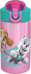 Zak Designs Stainless Steel Kids Water Bottle, PWPT-S732