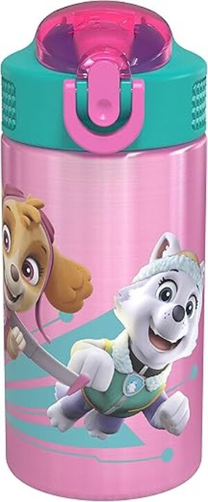 Zak Designs Stainless Steel Kids Water Bottle, PWPT-S732