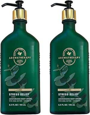 Bath & Body Works Stress Relief Eucalyptus Spearmint Gift Set