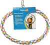 JW Swing N’ Perch, Large
