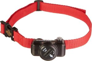 PetSafe UL-275-67D In-Ground Deluxe Collar