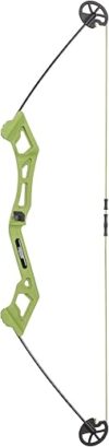 Bear Archery Valiant Youth Bow Set, Right Handed