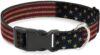 Buckle-Down Vintage US Flag Plastic Clip Collar