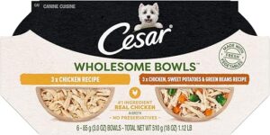 Cesar Wholesome Bowls Adult Wet Dog Food Variety Pack