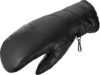 Salomon Women’s Native Mitten W